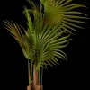 Areca Palmeira Verde>CASA Flash Sale