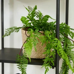 Atlantic Vaso><noscript><img width=