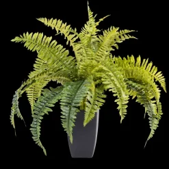 Boston Sambaia Verde>CASA Flash Sale