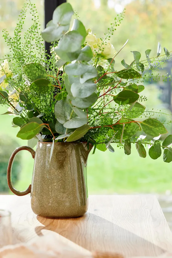 Cassis Jarro>CASA Flash Sale