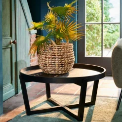 Draco Mesa De Centro><noscript><img width=