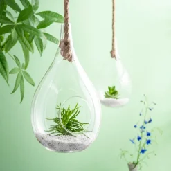 Drop Gota De Vidro Transparente><noscript><img width=