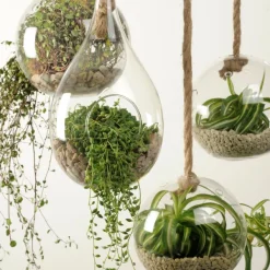 Drop Gota De Vidro Transparente><noscript><img width=