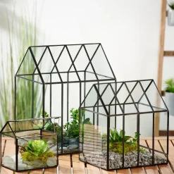 Greenhouse Mini Estufa Transparente><noscript><img width=