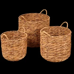 Joni Cesto Natural><noscript><img width=