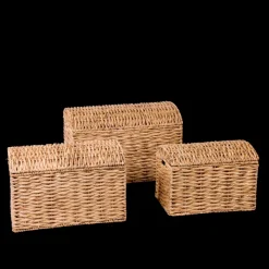 Miley Mala De Arrumação Natural><noscript><img width=