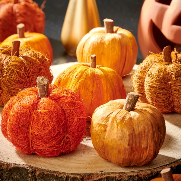 Pumpkin Decora O Cor-De-Laranja>CASA Cheap