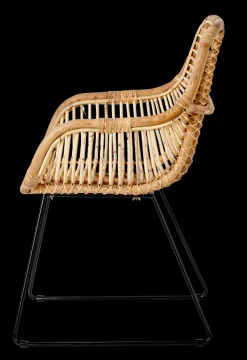Rotan Cadeira Para Sala De Jantar Natural><noscript><img width=