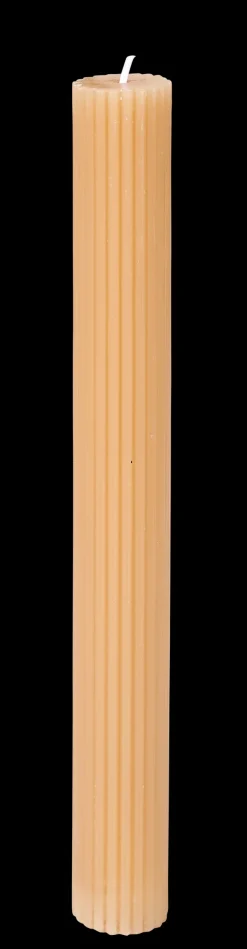 Rustic Vela Rib>CASA Discount