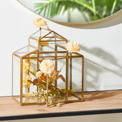 Serre Terr Rio Para Planta Dourado><noscript><img width=