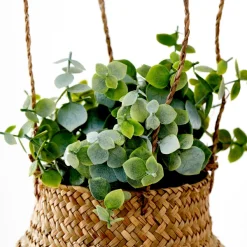 Terra Planta Em Vaso Branco, Verde><noscript><img width=